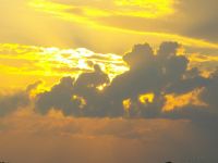 Sommerfest Baumberge 2010 074